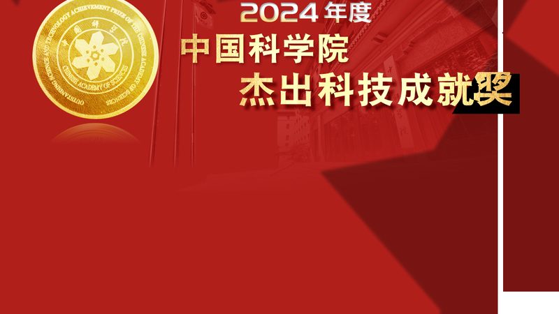 智慧解决方案定制：优缺点全面解析